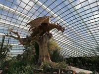 Gardens by the bay Singapur