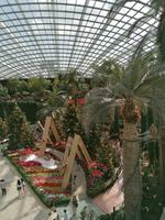 Gardens by the bay Singapur