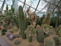 Gardens by the bay Singapur