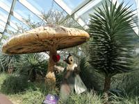 Gardens by the bay Singapur