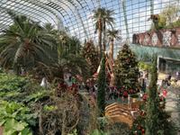 Gardens by the bay Singapur