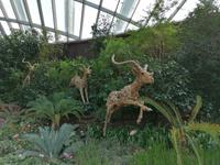 Gardens by the bay Singapur