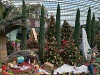 Gardens by the bay Singapur