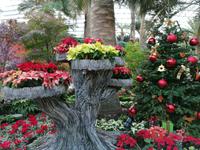 Gardens by the bay Singapur