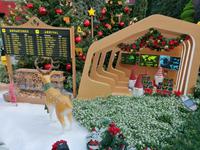 Gardens by the bay Singapur