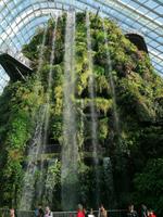 Gardens by the bay Singapur