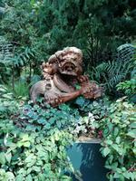 Gardens by the bay Singapur