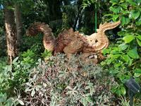 Gardens by the bay Singapur