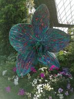 Gardens by the bay Singapur