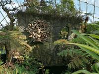 Gardens by the bay Singapur