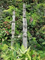 Gardens by the bay Singapur