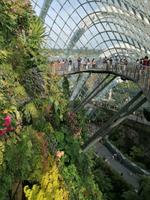 Gardens by the bay Singapur