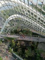 Gardens by the bay Singapur