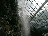 Gardens by the bay Singapur