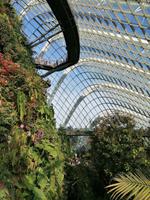 Gardens by the bay Singapur