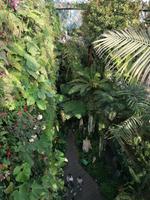 Gardens by the bay Singapur