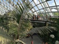 Gardens by the bay Singapur