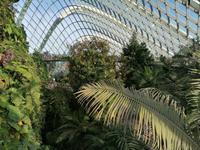 Gardens by the bay Singapur