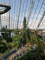 Gardens by the bay Singapur