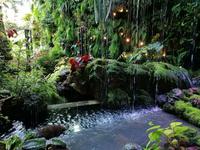 Gardens by the bay Singapur