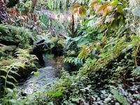 Gardens by the bay Singapur