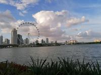 Gardens by the bay Singapur