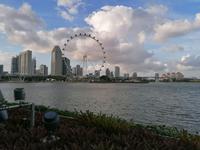 Gardens by the bay Singapur