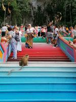 Batu Höhlen Kuala Lumpur Malaysia