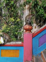 Batu Höhlen Kuala Lumpur Malaysia