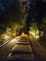 Abendessen im Dschungel Kuala Lumpur Malaysia