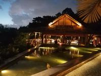 Abendessen im Dschungel Kuala Lumpur Malaysia