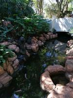 Vogelpark Kuala Lumpur Malaysia