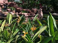 Vogelpark Kuala Lumpur Malaysia