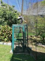 Vogelpark Kuala Lumpur Malaysia