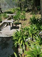 Vogelpark Kuala Lumpur Malaysia