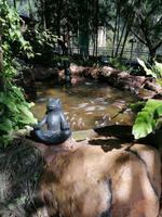 Vogelpark Kuala Lumpur Malaysia