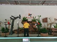 Vogelpark Kuala Lumpur Malaysia