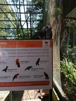 Vogelpark Kuala Lumpur Malaysia