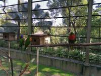 Vogelpark Kuala Lumpur Malaysia