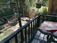 Vogelpark Kuala Lumpur Malaysia