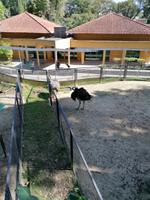 Vogelpark Kuala Lumpur Malaysia