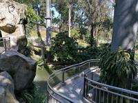 Vogelpark Kuala Lumpur Malaysia