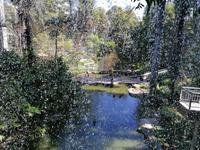Vogelpark Kuala Lumpur Malaysia