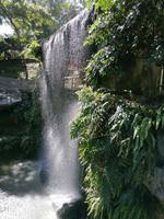 Vogelpark Kuala Lumpur Malaysia