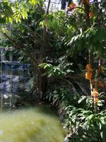 Vogelpark Kuala Lumpur Malaysia