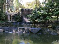 Vogelpark Kuala Lumpur Malaysia