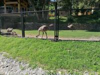 Vogelpark Kuala Lumpur Malaysia