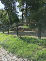 Vogelpark Kuala Lumpur Malaysia