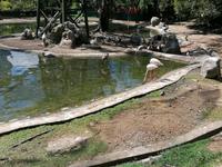Vogelpark Kuala Lumpur Malaysia