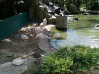 Vogelpark Kuala Lumpur Malaysia